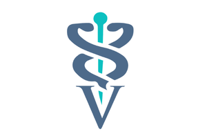 The Webinar Vet