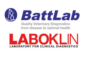 Battlab logo